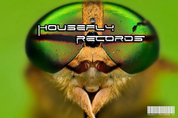 Housefly_Records_Ipswich